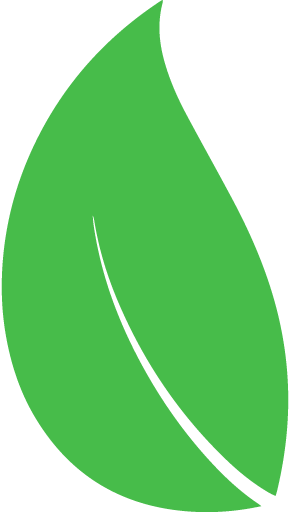 leaf secondary green color